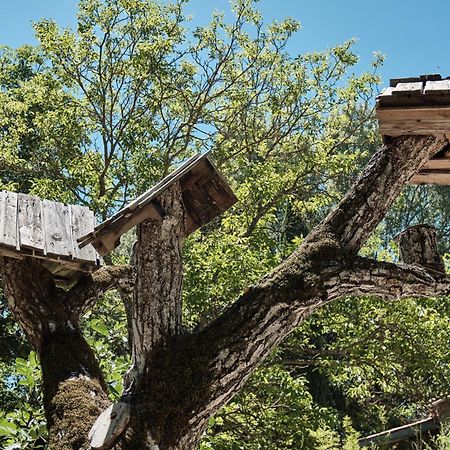 Les Maisons De Chante Oiseau Sigonce Exterior photo