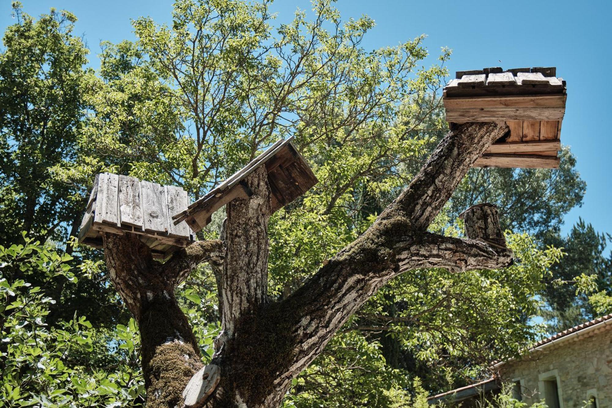 Les Maisons De Chante Oiseau Sigonce Exterior photo